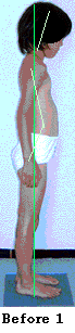 MS.gif